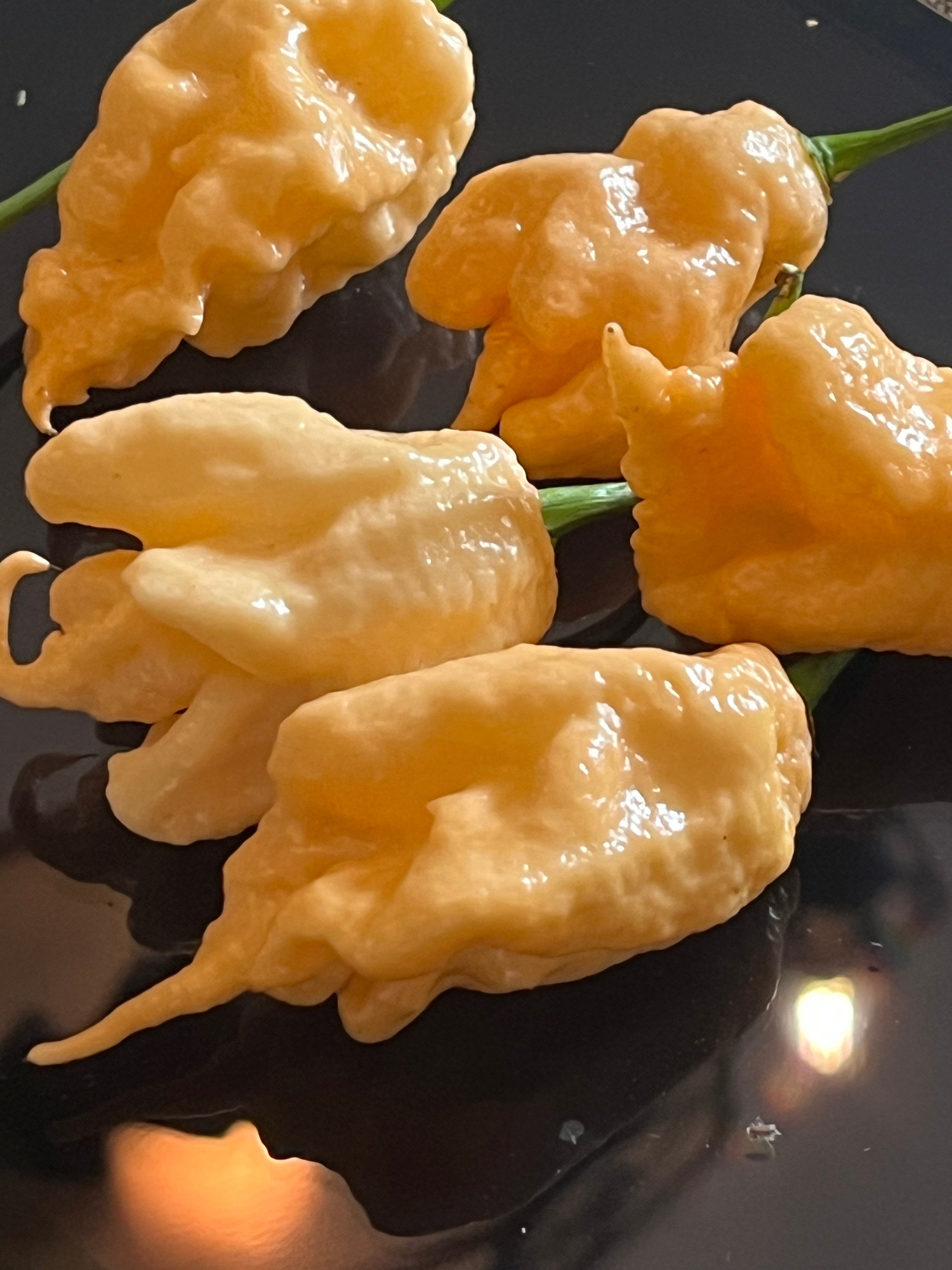 Jay’s peach ghost scorpion seeds