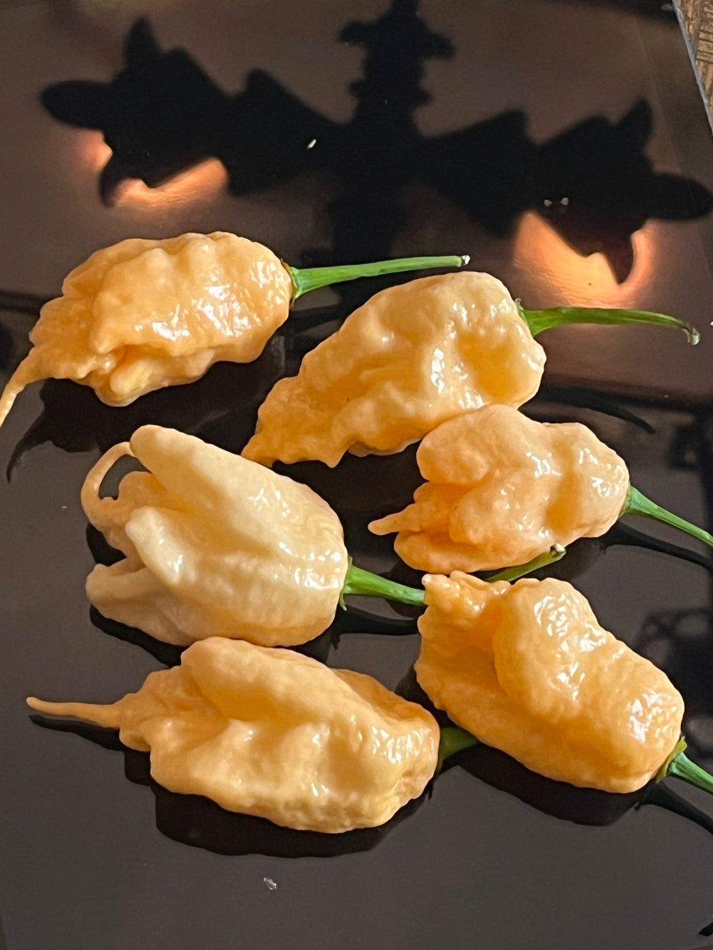 Jay’s peach ghost scorpion seeds
