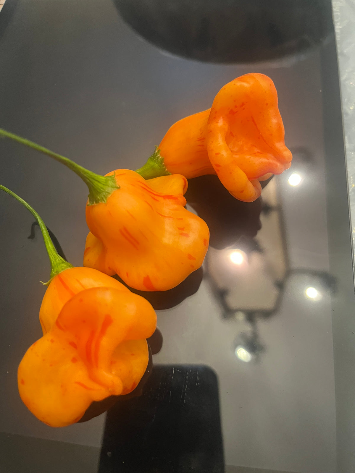 Zebrange seeds