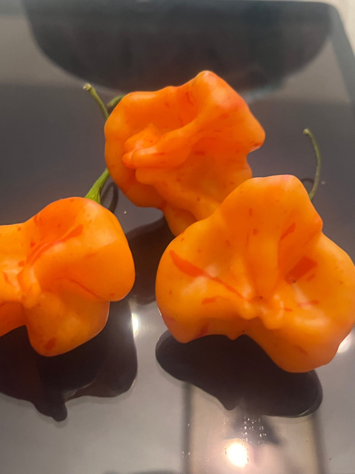 Zebrange seeds