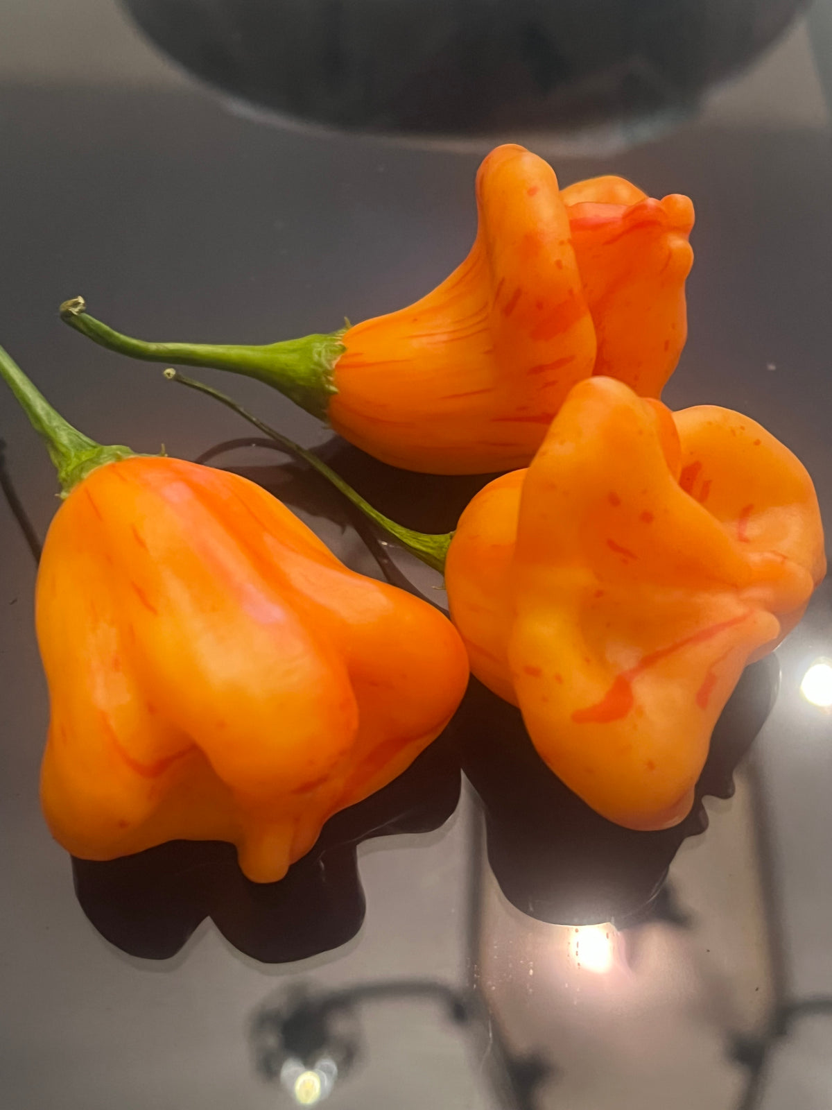 Zebrange seeds
