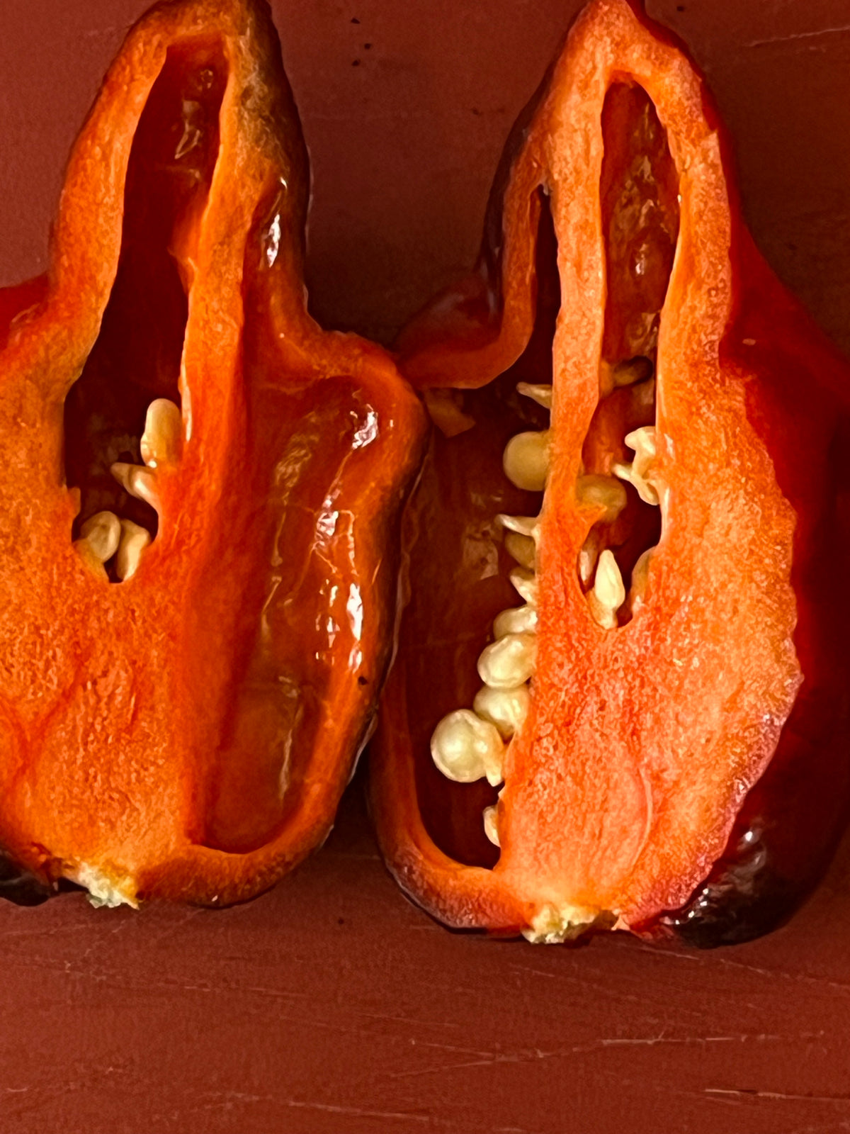 Leopard reaper seeds