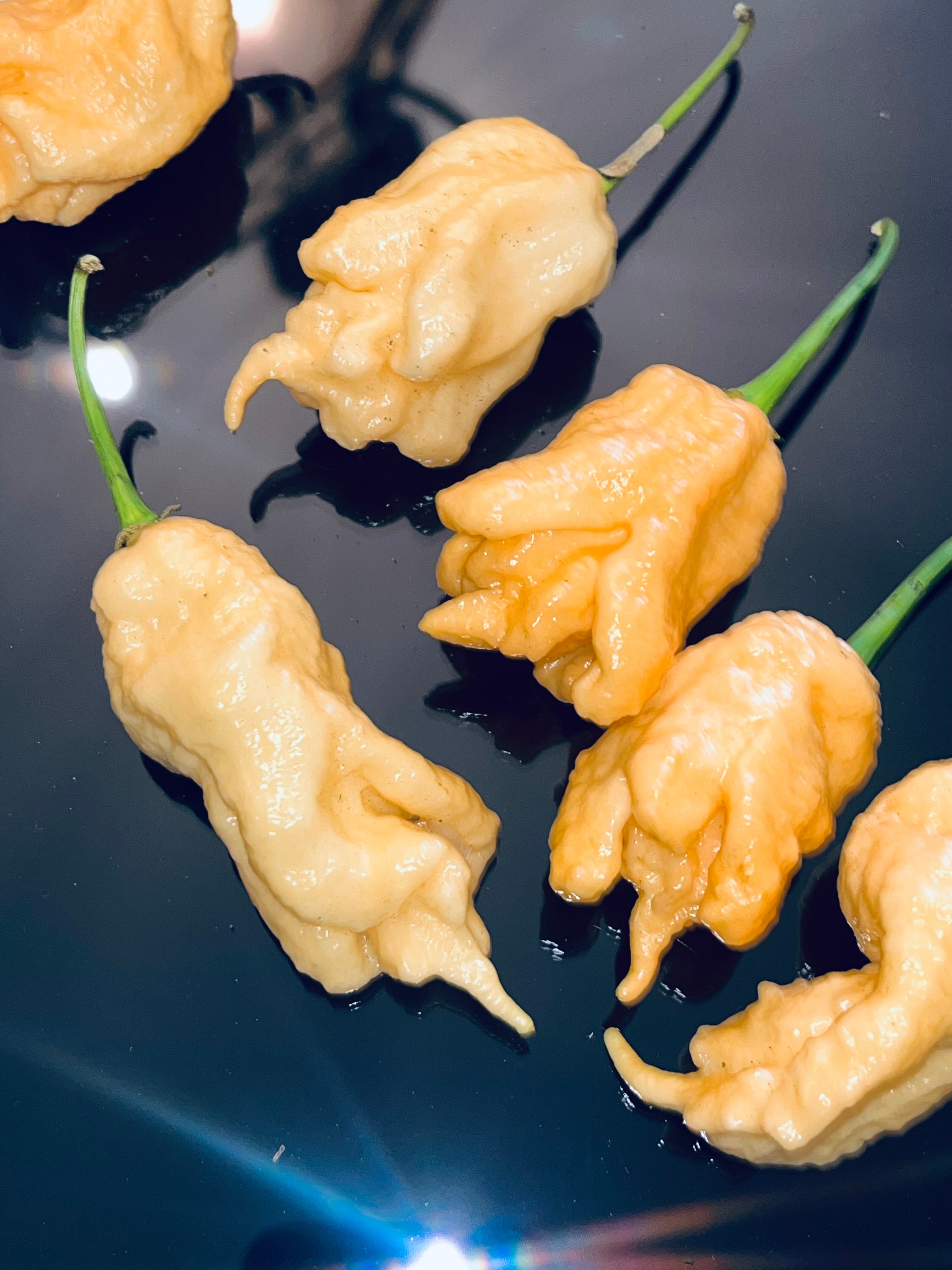 Jay’s peach ghost scorpion seeds