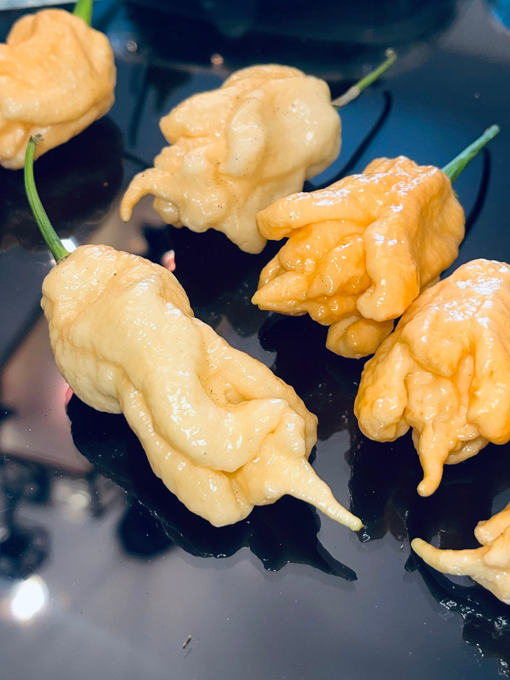 Jay’s peach ghost scorpion seeds