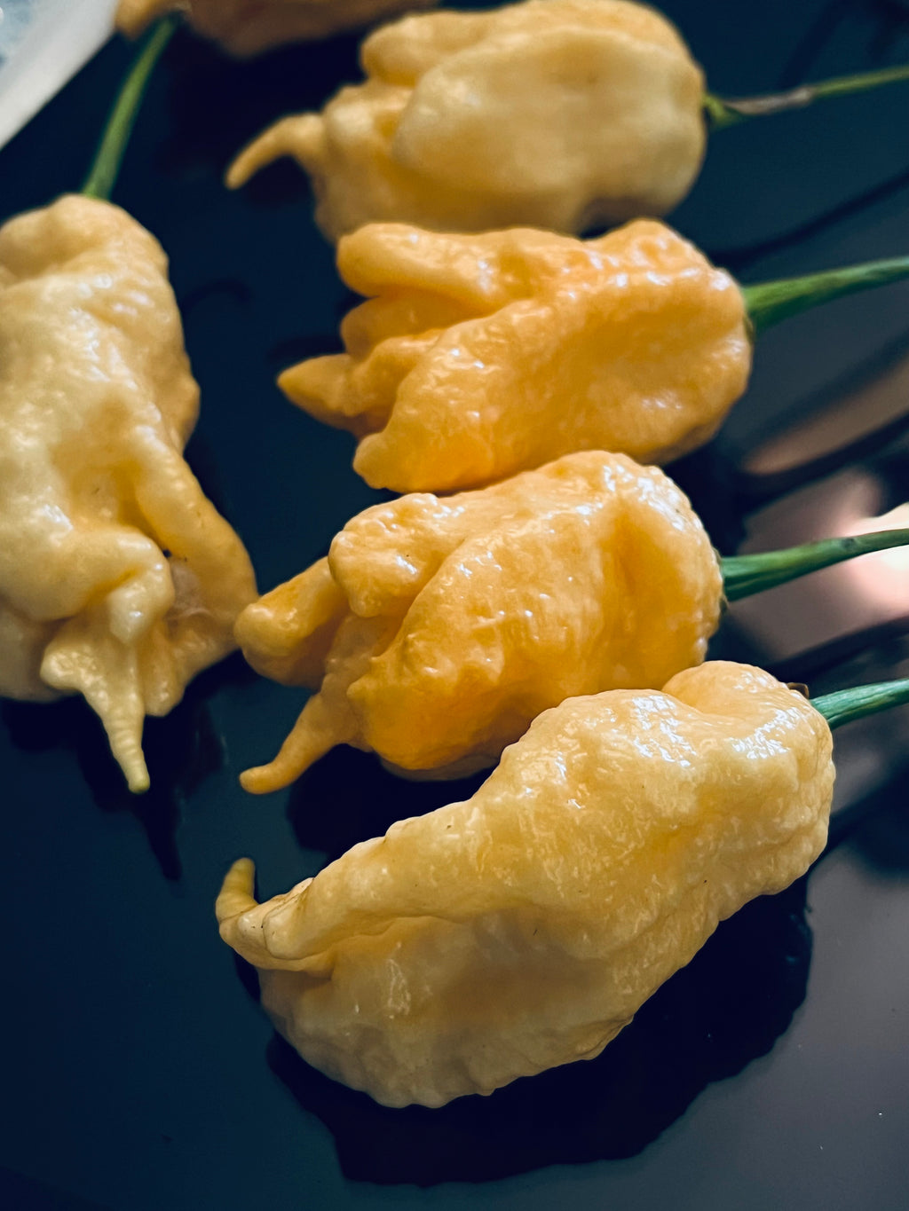 Jay’s peach ghost scorpion seeds