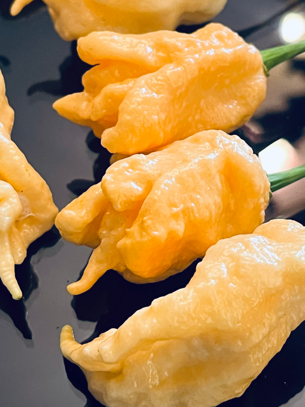Jay’s peach ghost scorpion seeds