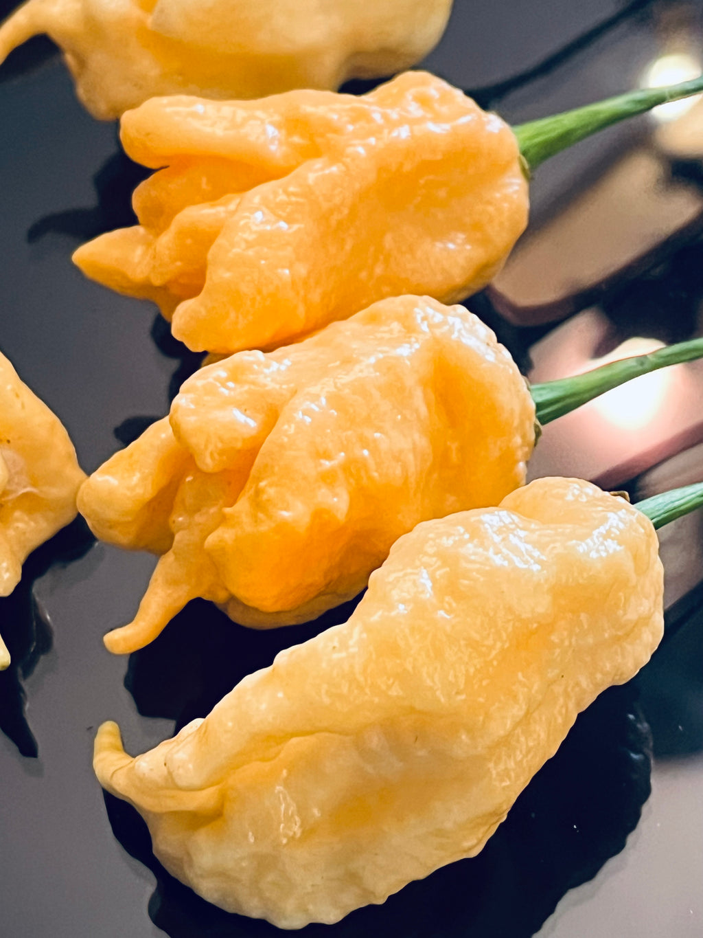 Jay’s peach ghost scorpion seeds