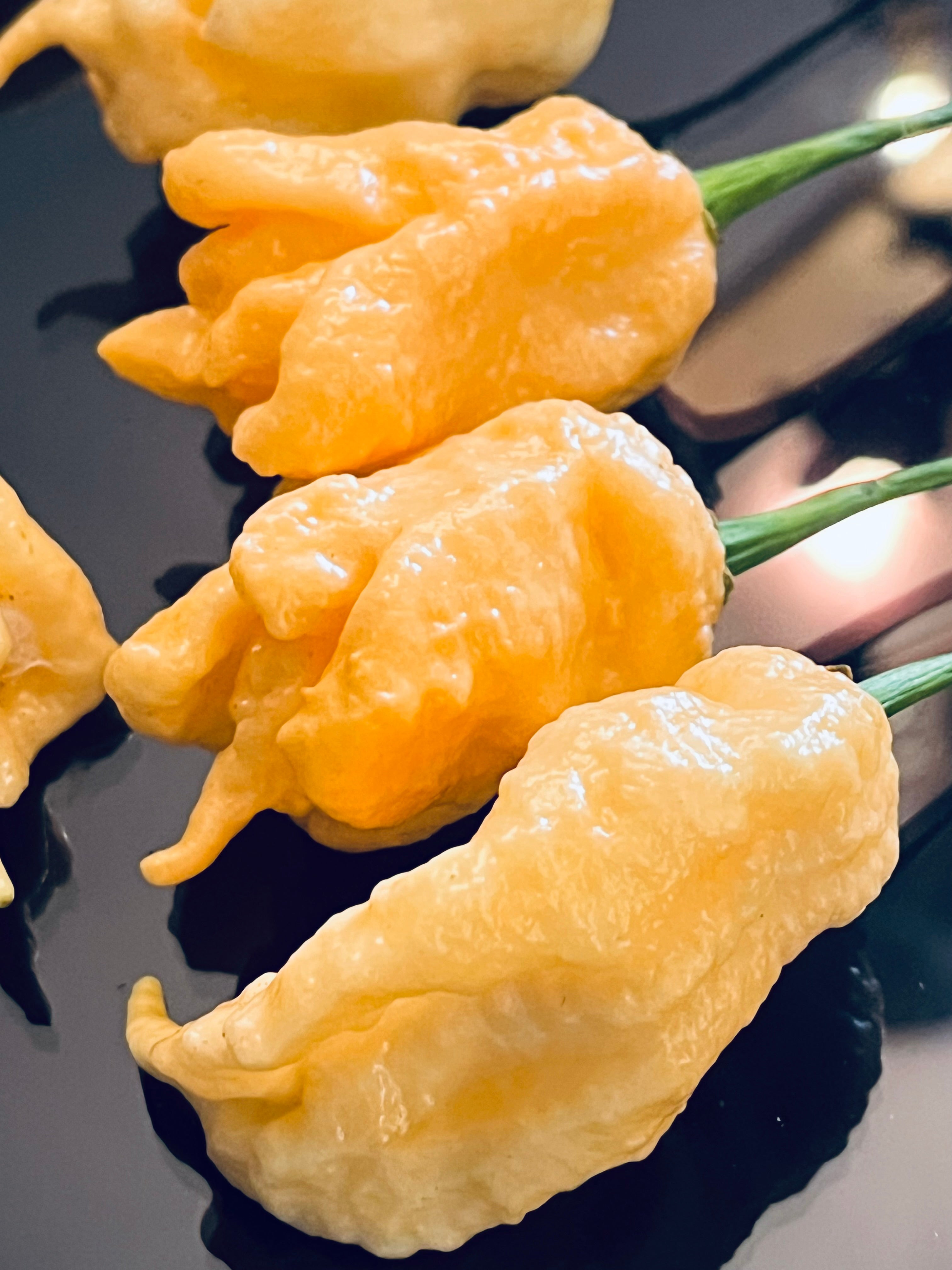 Jay’s peach ghost scorpion seeds