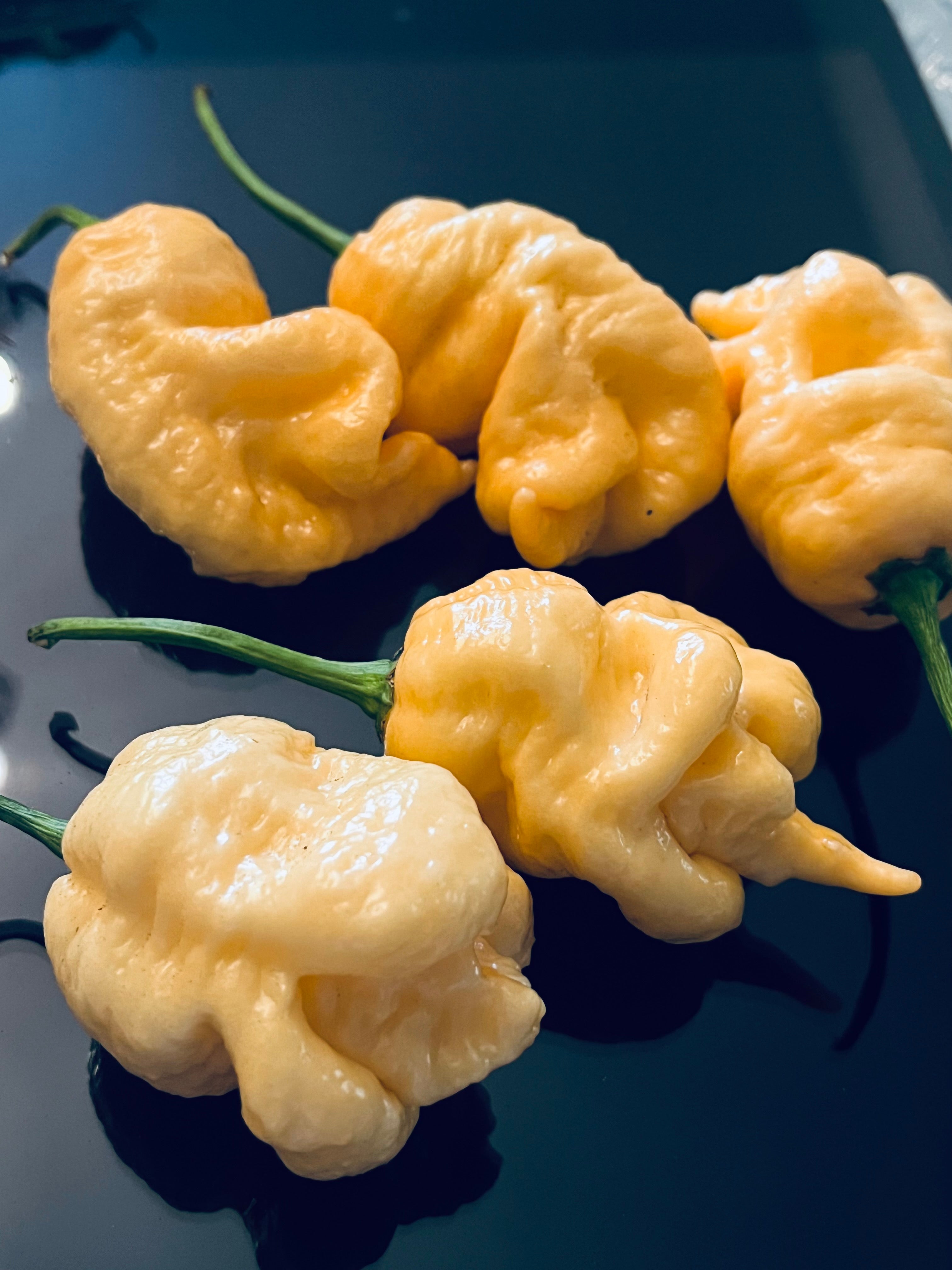 Peach x DD seeds