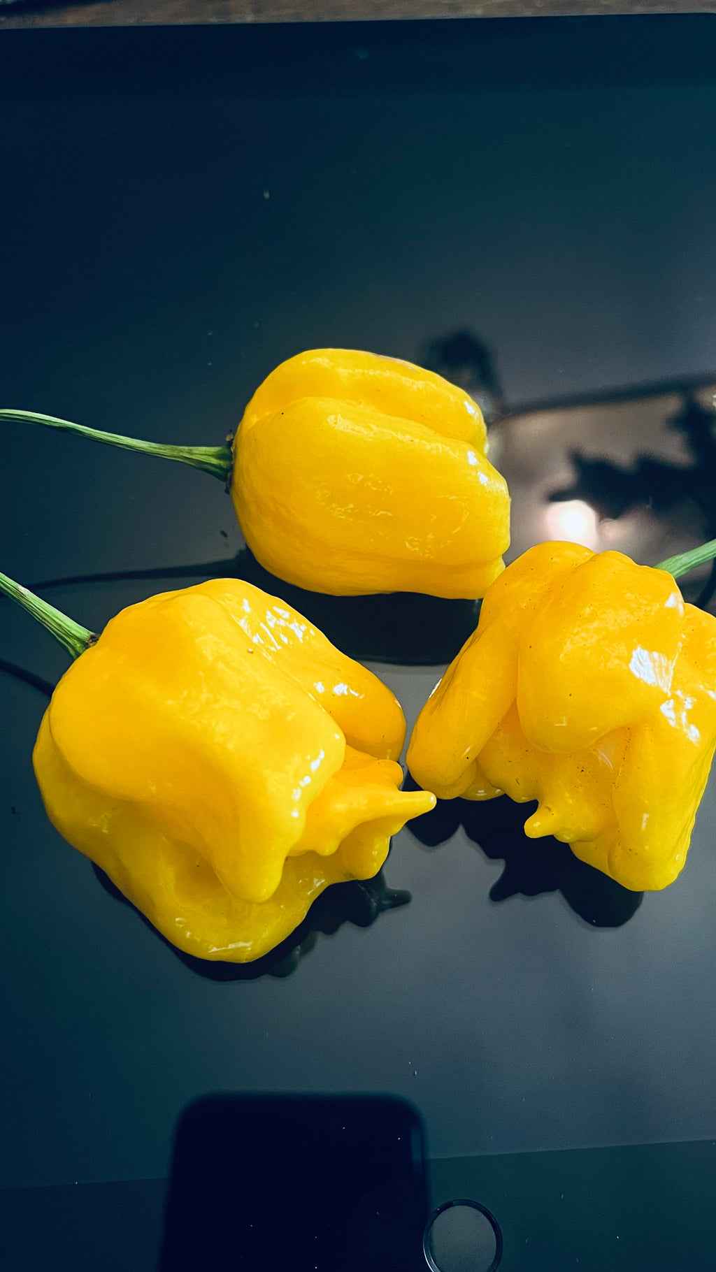 Why not yellow seeds