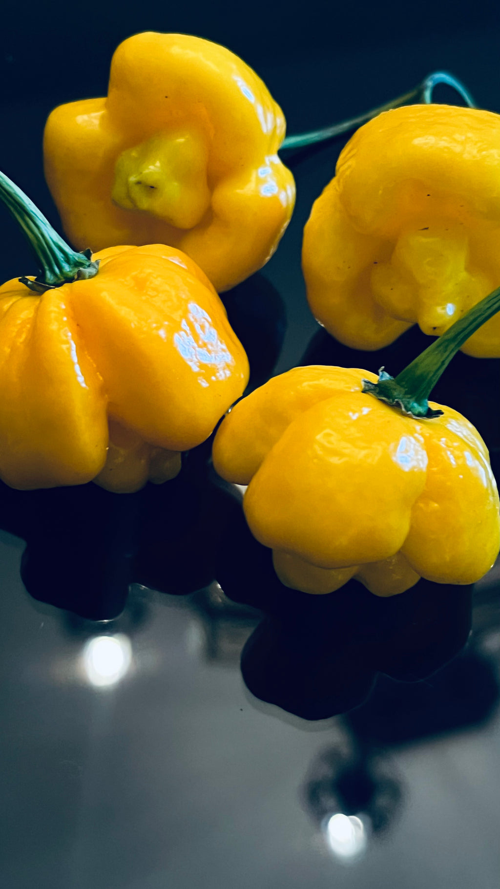 Yellow Armageddon seeds
