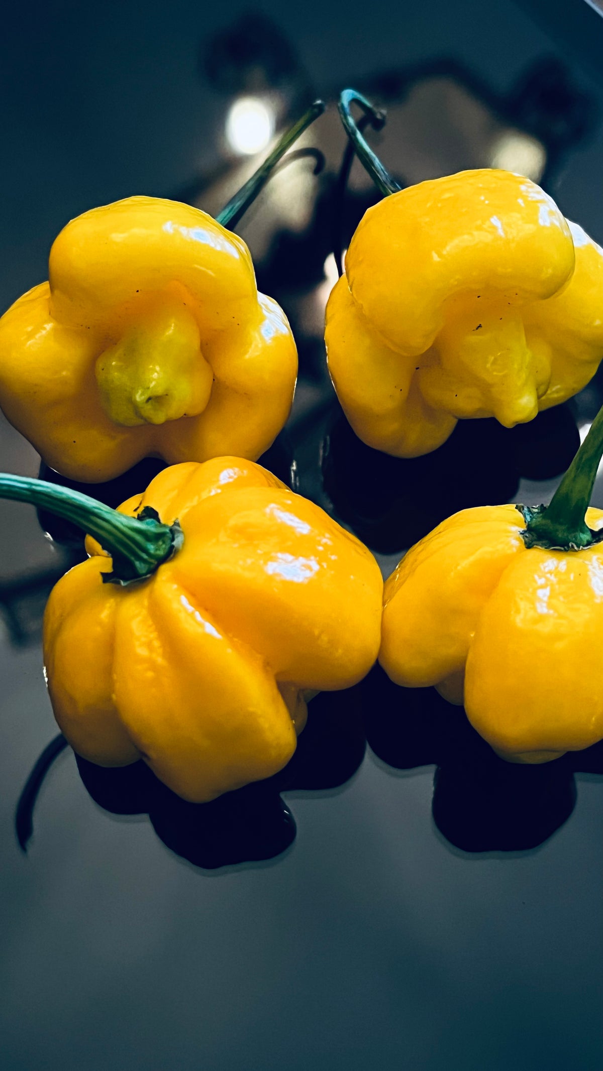 Yellow Armageddon seeds
