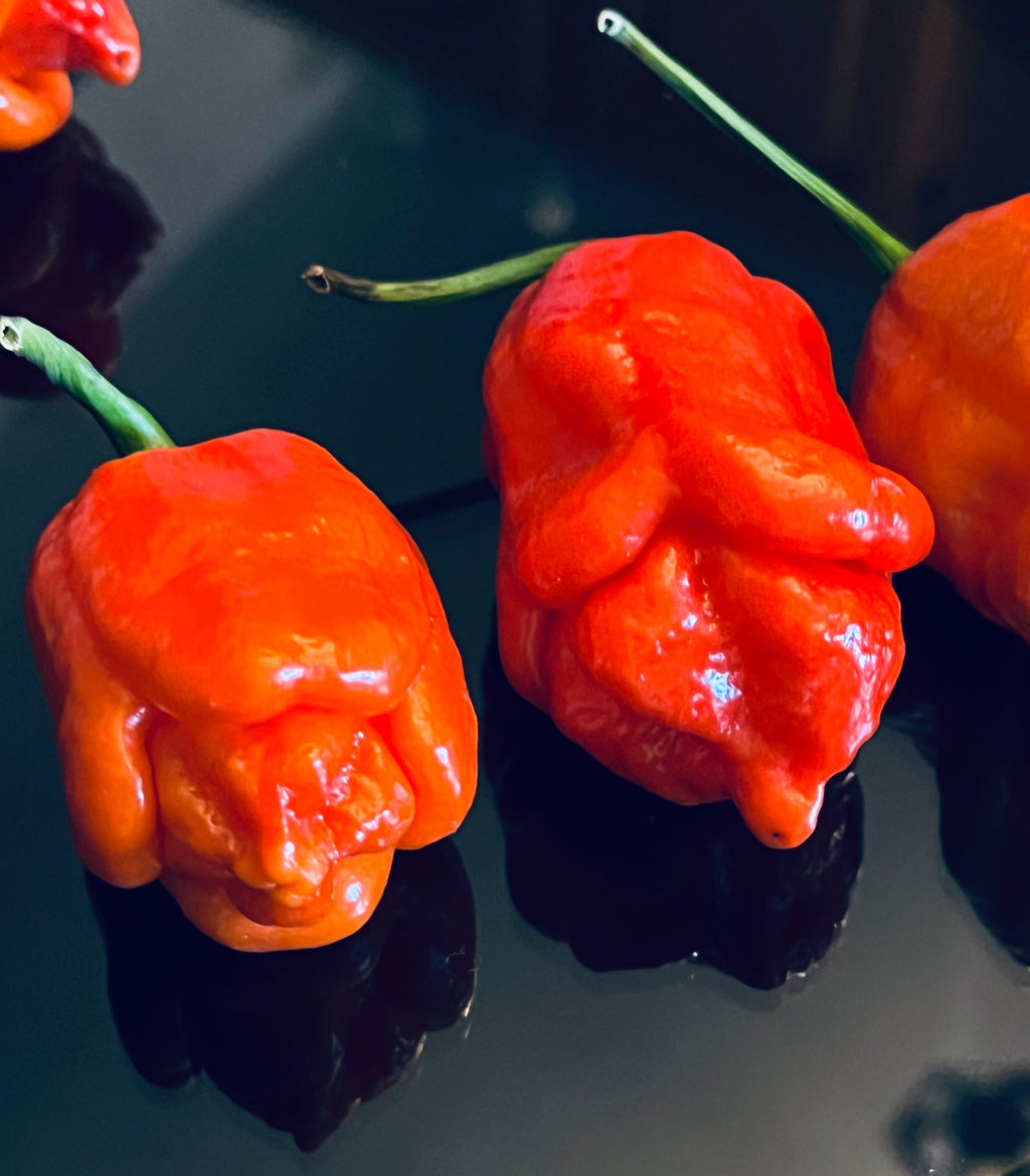 Red Armageddon seeds