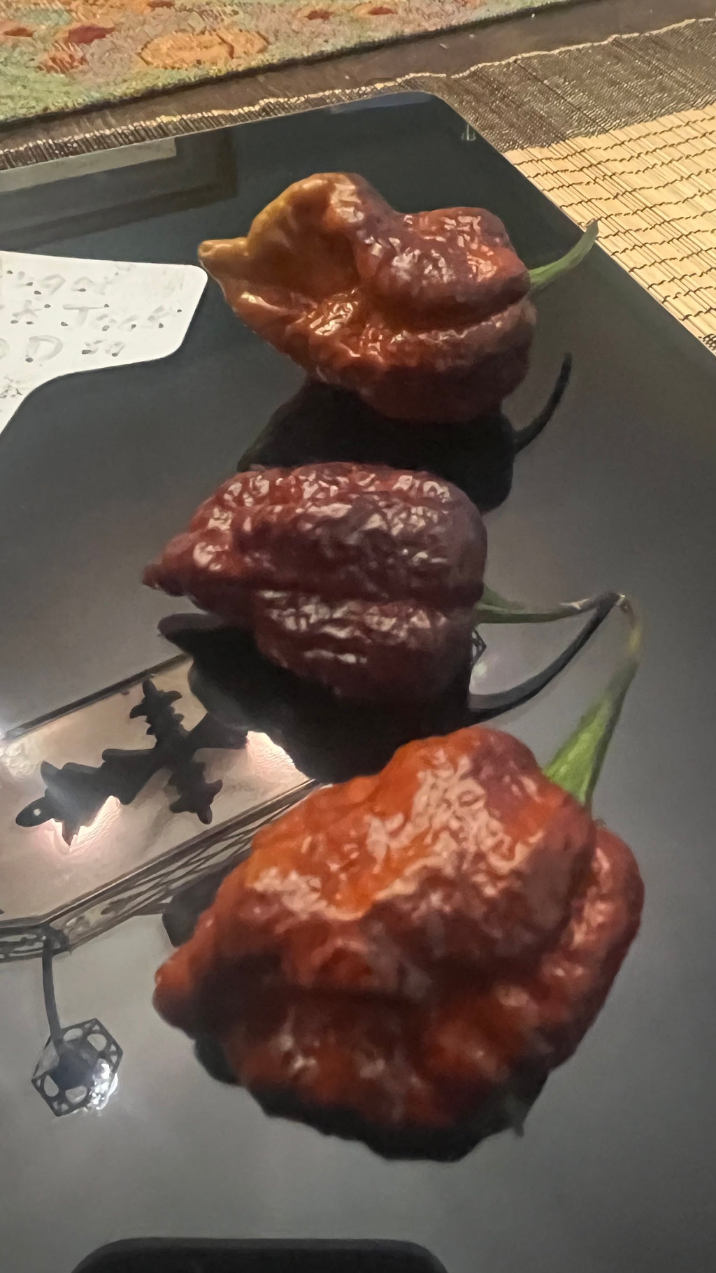 Chocolate Armageddon seeds