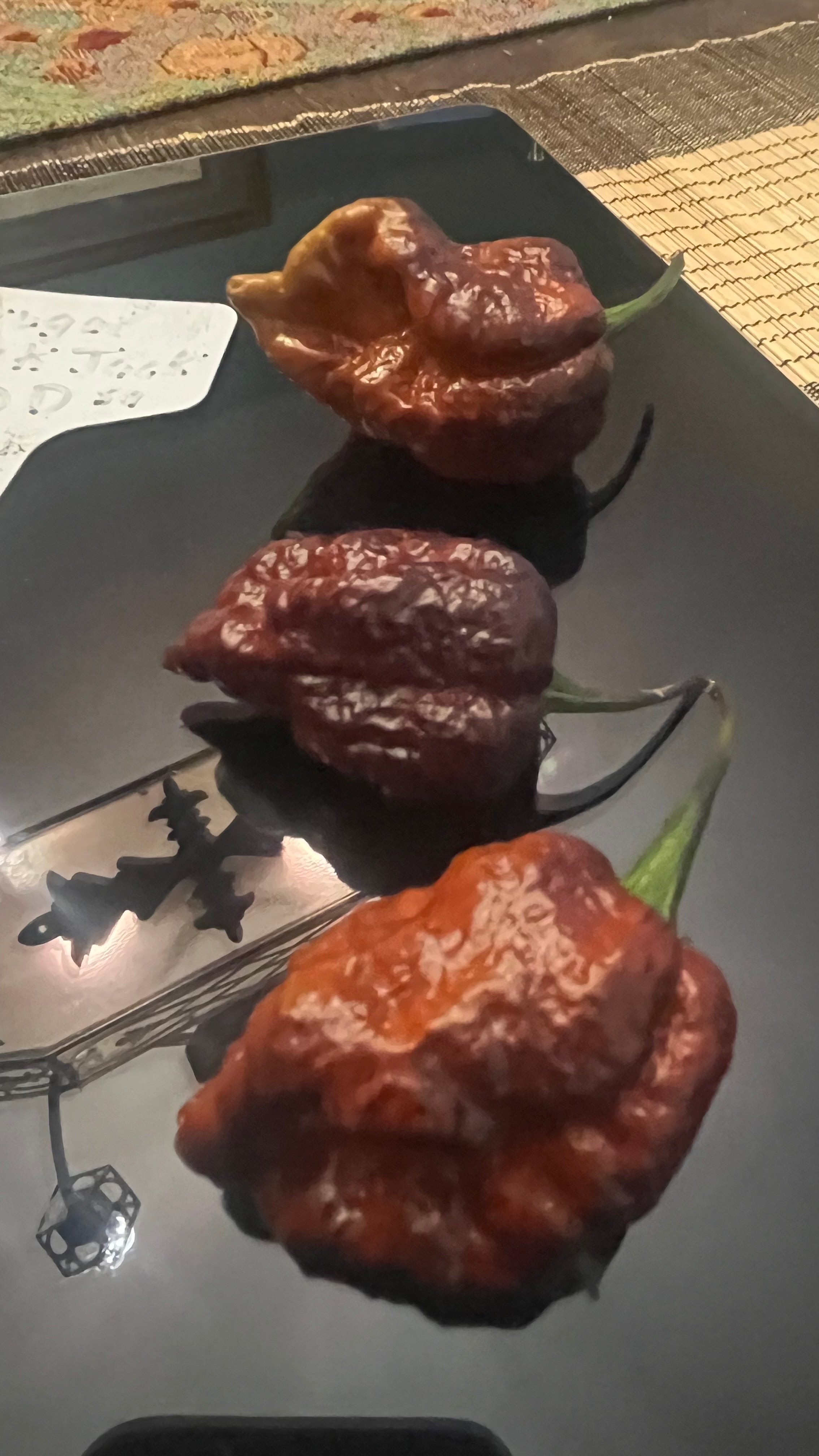 Chocolate Armageddon seeds